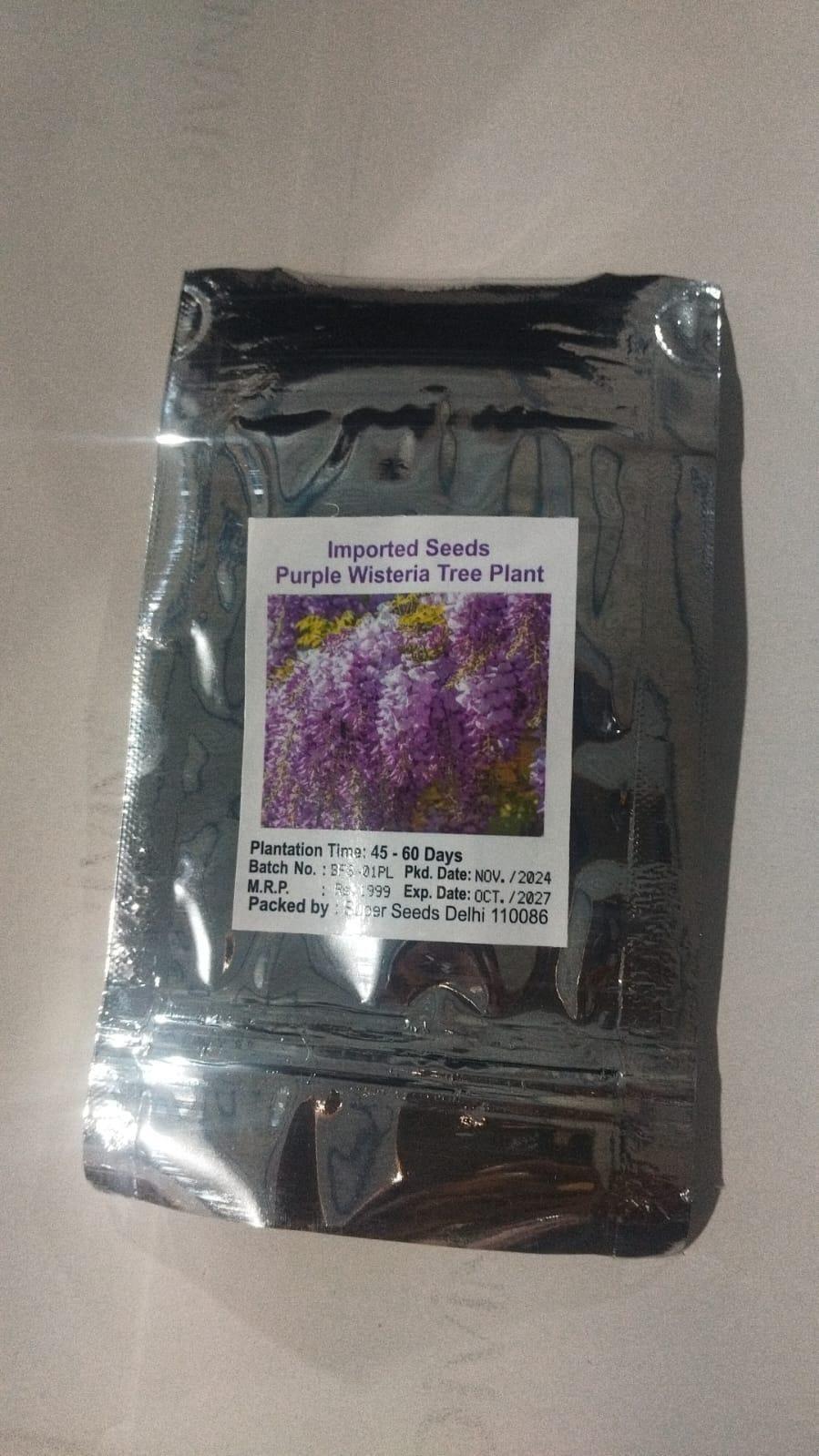 The Garden’s Cascading Beauty All Year Round (cash on delivery available)