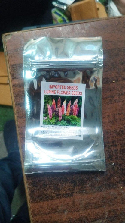 Premium Lupine Flower Seeds – Vibrant Rainbow Garden Blooms (cash on delivery available)
